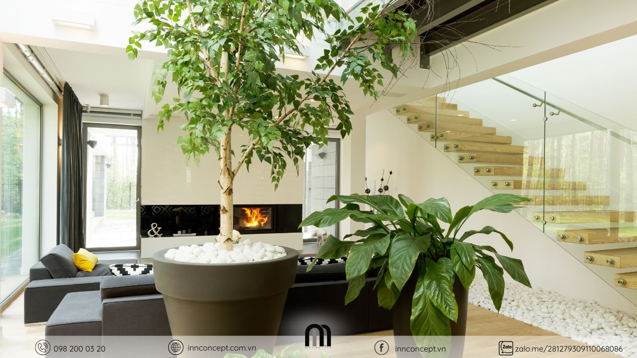 Thiết kế nội thất nhà mát mẻ mùa hè tận dụng giếng trời giúp thông gió căn nhà.