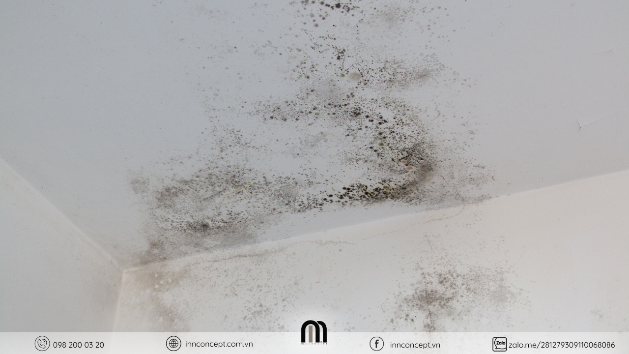 Tình trạng bong tróc và nấm mốc bề mặt là hệ quả tất yếu khi không quan tâm thiết kế nội thất chống ẩm.